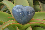 Polished Blue Lazulite Hearts  x 6 From Madagascar - Toprock Gemstones and Minerals 