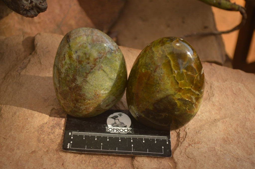 Polished  Green Opal Standing Free Forms  x 6 From Madagascar - Toprock Gemstones and Minerals 