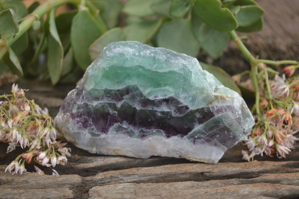 Polished Watermelon Fluorite Slices  x 6 From Uis, Namibia - Toprock Gemstones and Minerals 