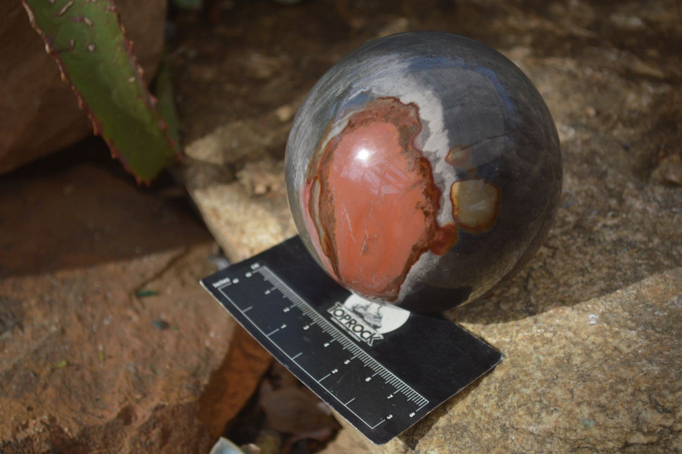 Polished Polychrome Jasper Spheres  x 2 From Mahajanga, Madagascar - Toprock Gemstones and Minerals 
