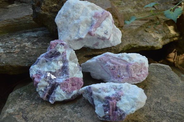 Natural Pink Rubellite Tourmaline Crystals In Schist x 4 From Karibib, Namibia - TopRock