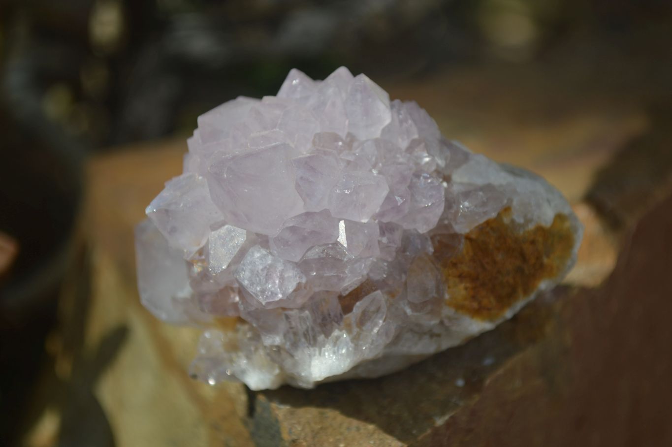 Natural Spirit Amethyst Quartz Clusters  x 12 From Boekenhouthoek, South Africa - Toprock Gemstones and Minerals 