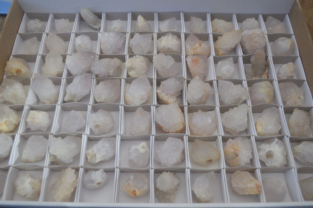 Natural White Spirit Cactus Flower Quartz Crystals x 70 From Boekenhouthoek, South Africa - Toprock Gemstones and Minerals 