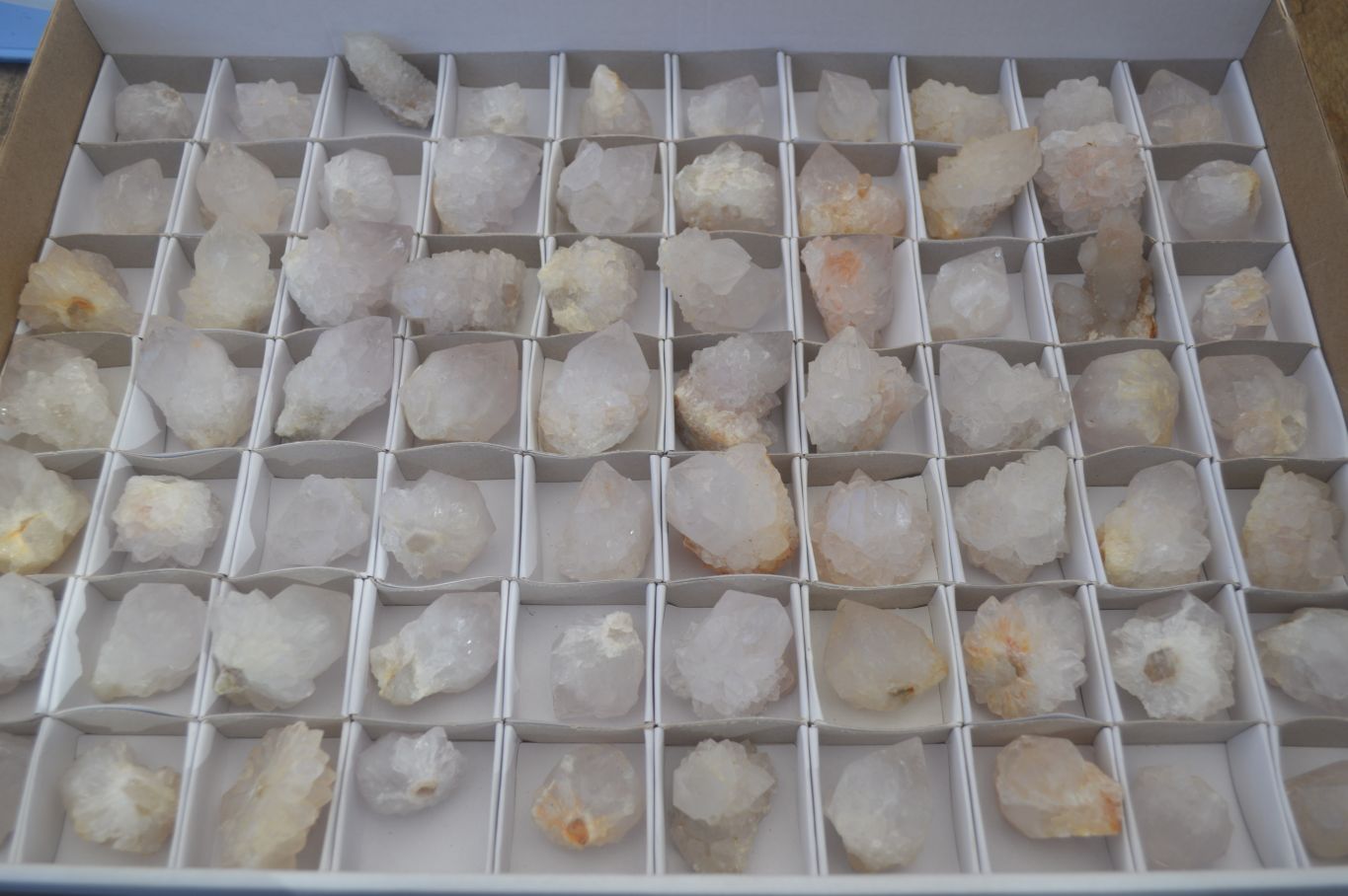 Natural White Spirit Cactus Flower Quartz Crystals x 70 From Boekenhouthoek, South Africa - Toprock Gemstones and Minerals 