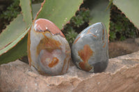 Polished Polychrome Jasper Standing Free Forms  x 6 From Madagascar - Toprock Gemstones and Minerals 