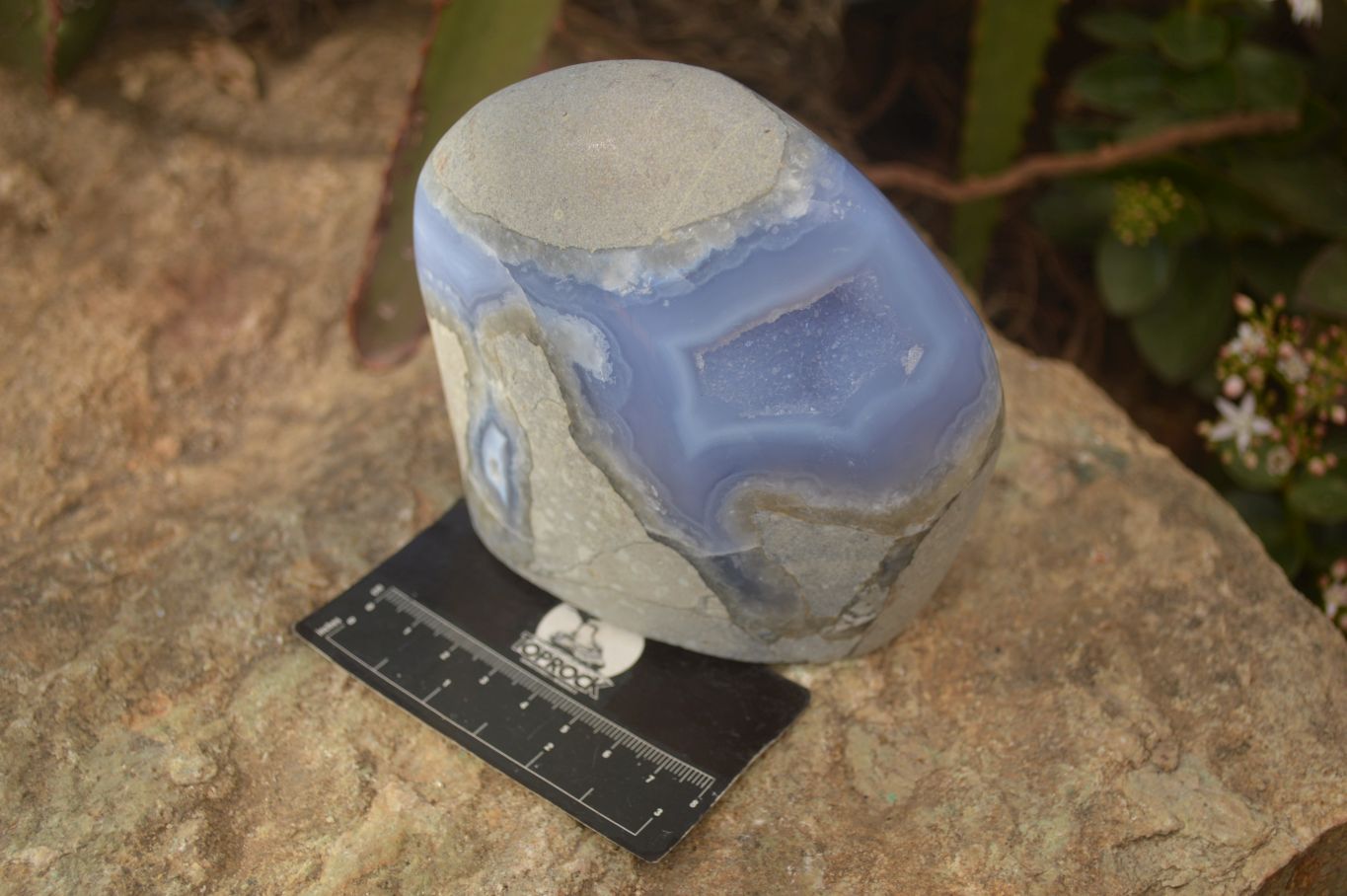 Polished  Blue Lace Agate Standing Free Form  x 1 From Nsanje, Malawi - Toprock Gemstones and Minerals 