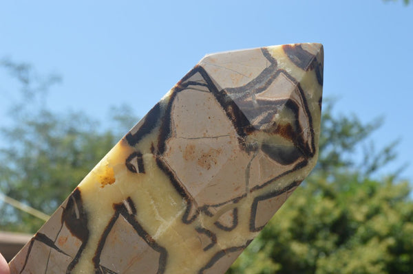 Polished Large Septaria (Yellow Calcite and Aragonite) Point x 1 From Mahajanga, Madagascar - TopRock