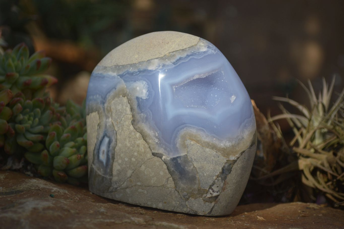 Polished  Blue Lace Agate Standing Free Form  x 1 From Nsanje, Malawi - Toprock Gemstones and Minerals 