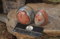 Polished Polychrome Jasper Standing Free Forms  x 6 From Madagascar - Toprock Gemstones and Minerals 