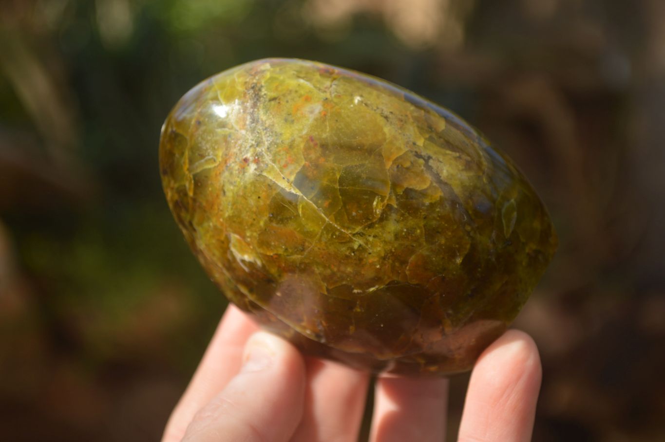 Polished  Green Opal Standing Free Forms  x 6 From Madagascar - Toprock Gemstones and Minerals 