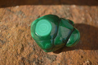 Polished Flower Banded Malachite Free Forms  x 12 From Congo - Toprock Gemstones and Minerals 