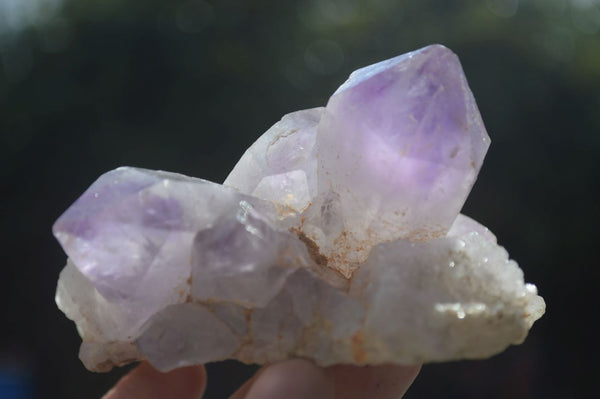 Natural Single Jacaranda Amethyst Crystals  x 6 From Mumbwa, Zambia