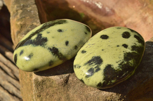 Polished Leopard stone Gallets x 24 From Inyanga, Zimbabwe - TopRock
