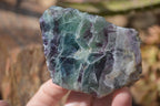 Polished Watermelon Fluorite Slices  x 6 From Uis, Namibia - Toprock Gemstones and Minerals 