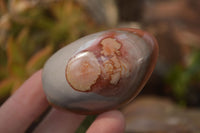 Polished Polychrome Jasper Standing Free Forms  x 6 From Madagascar - Toprock Gemstones and Minerals 