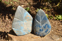 Polished Blue Spotted Spinel Standing Leaf Sculptures  x 2 From Madagascar - TopRock
