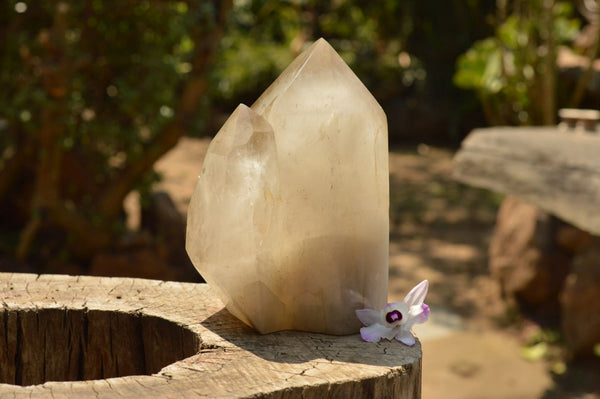 Polished Extra Large Twin Smokey Citrine Point With Smokey Phantoms  x 1 From Madagascar