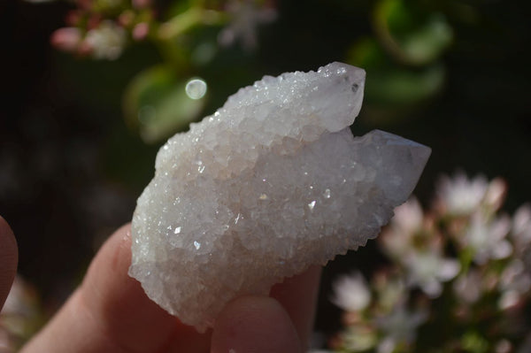 Natural Pale Lilac Spirit Quartz Crystals x 35 From Boekenhouthoek, South Africa - Toprock Gemstones and Minerals 