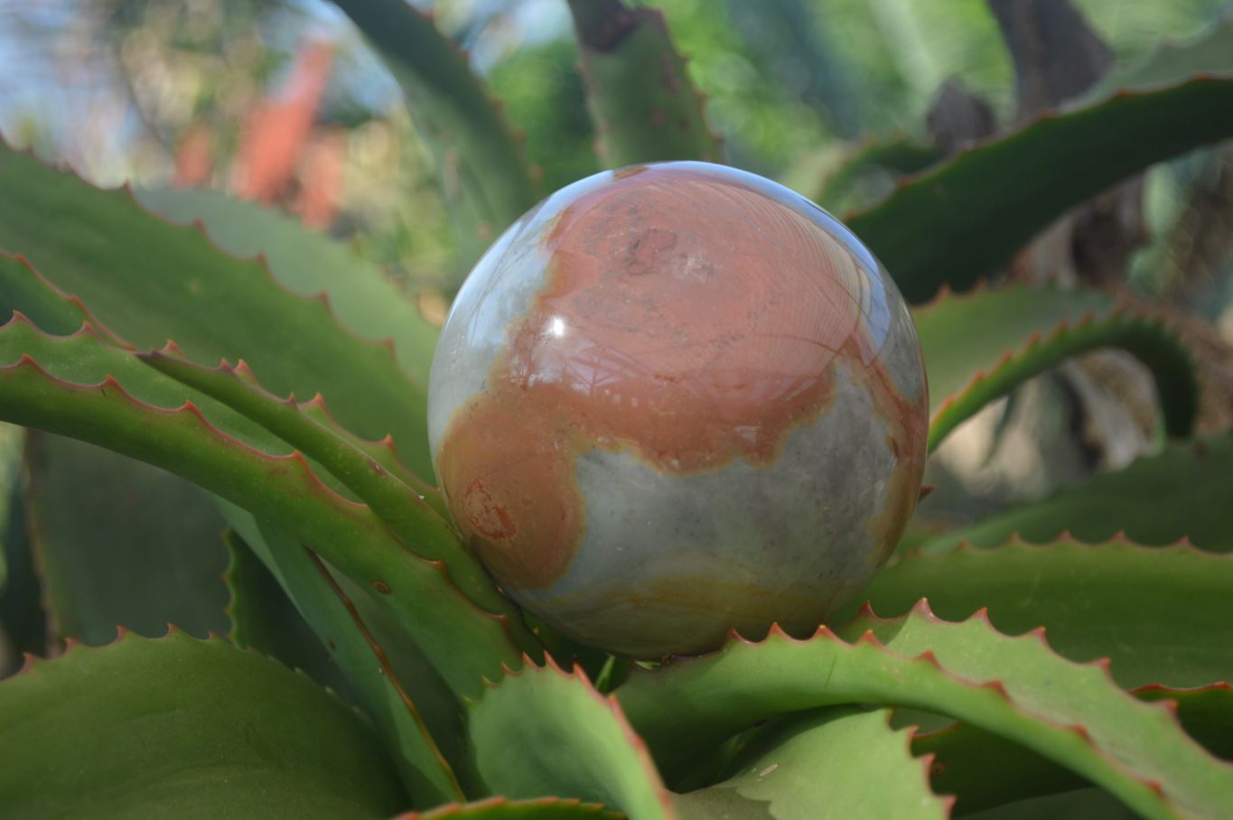 Polished Polychrome Jasper Spheres  x 2 From Mahajanga, Madagascar - Toprock Gemstones and Minerals 