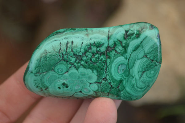 Polished Flower Banded Malachite Free Forms  x 12 From Congo