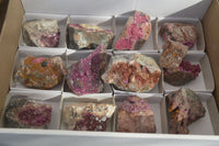 Natural Salrose Cobaltion Dolomite Specimens x 12 From Kakanda, Congo - Toprock Gemstones and Minerals 
