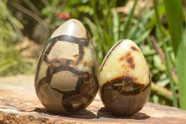 Polished Septaria Dragon's Eggs (Calcite & Aragonite) x 3 From Mahajanga, Madagascar - TopRock