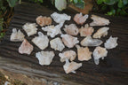 Natural Small Clear Quartz Crystal Specimens  x 35 From Madagascar - Toprock Gemstones and Minerals 