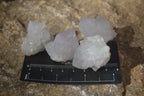 Natural White Spirit Cactus Flower Quartz Crystals x 70 From Boekenhouthoek, South Africa - Toprock Gemstones and Minerals 
