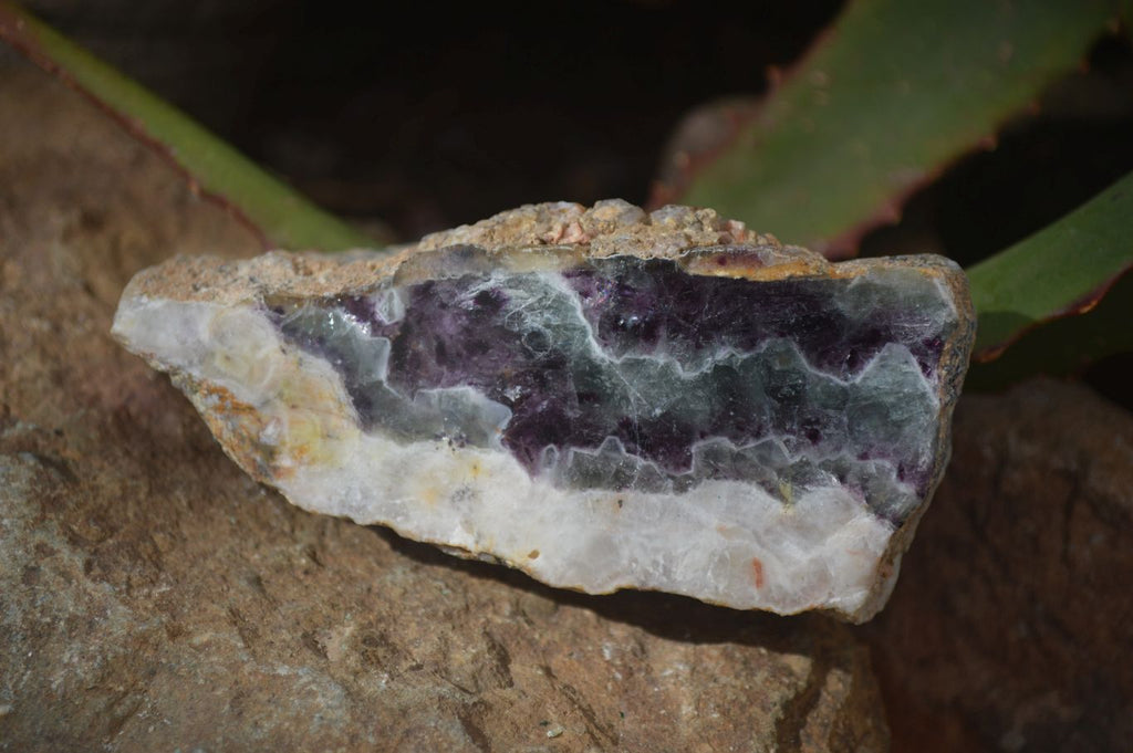 Polished Watermelon Fluorite Slices  x 6 From Uis, Namibia - Toprock Gemstones and Minerals 