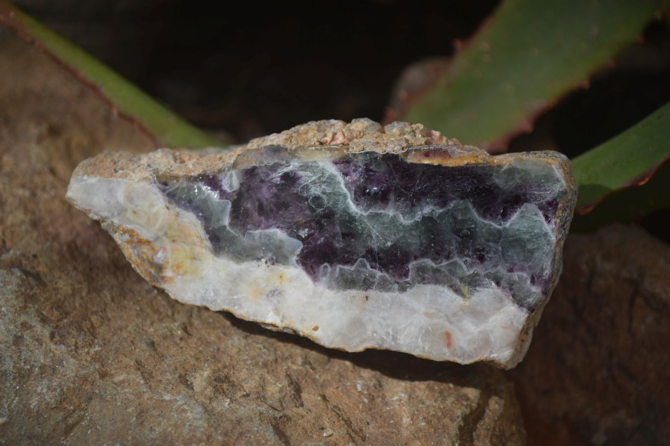 Polished Watermelon Fluorite Slices  x 6 From Uis, Namibia - Toprock Gemstones and Minerals 