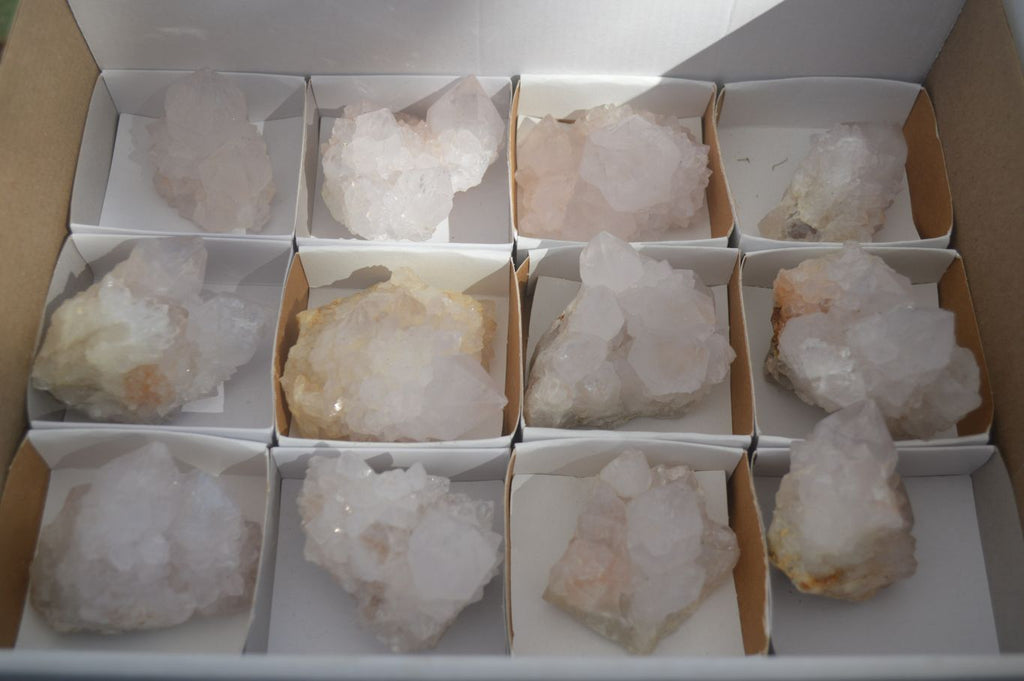 Natural White Cactus Flower Spirit Quartz Specimens  x 12 From Boekenhouthoek, South Africa - Toprock Gemstones and Minerals 