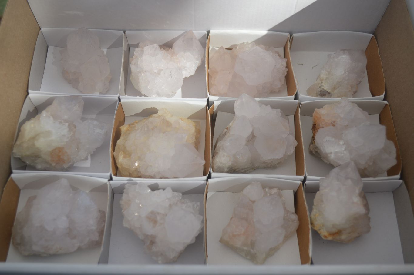 Natural White Cactus Flower Spirit Quartz Specimens  x 12 From Boekenhouthoek, South Africa - Toprock Gemstones and Minerals 