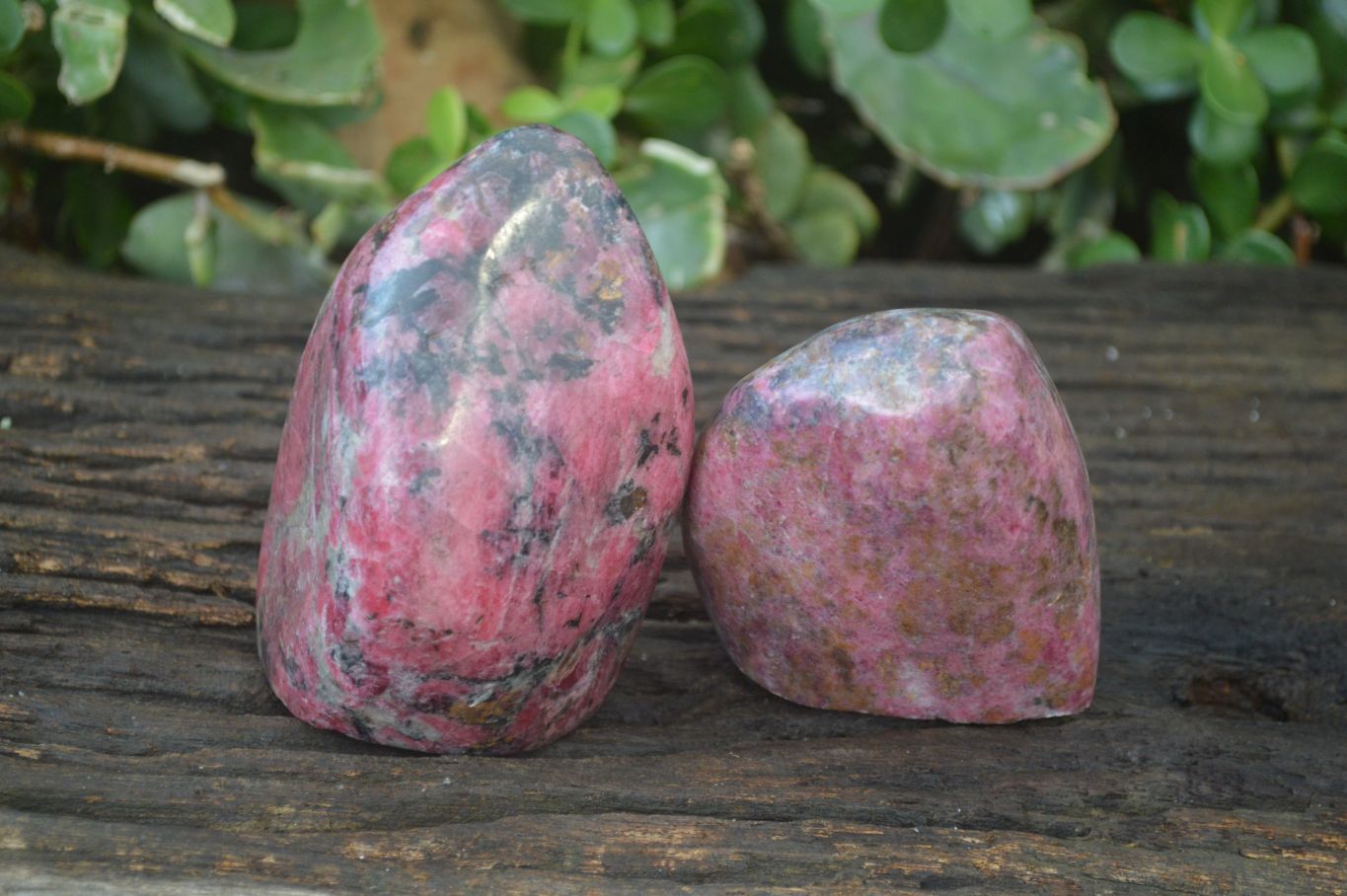 Polished Rhodonite Standing Free Forms x 2 From Zimbabwe - Toprock Gemstones and Minerals 