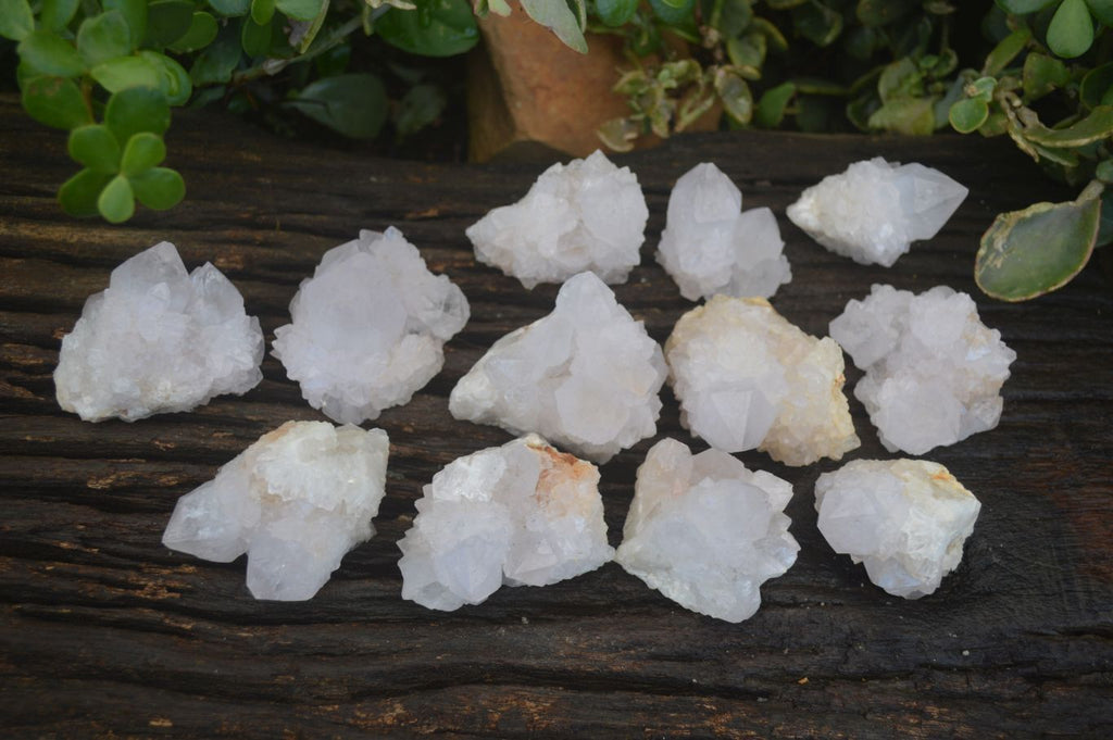 Natural White Cactus Flower Spirit Quartz Specimens  x 12 From Boekenhouthoek, South Africa - Toprock Gemstones and Minerals 