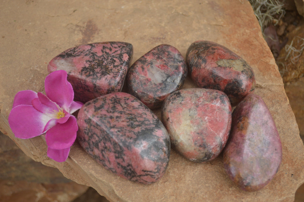 Polished Rare Red Rhodonite Free Forms  x 6 From Zimbabwe - TopRock