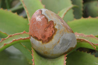 Polished Polychrome Jasper Standing Free Forms  x 6 From Madagascar - Toprock Gemstones and Minerals 