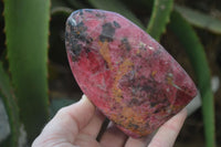 Polished Rhodonite Standing Free Forms x 2 From Zimbabwe - Toprock Gemstones and Minerals 
