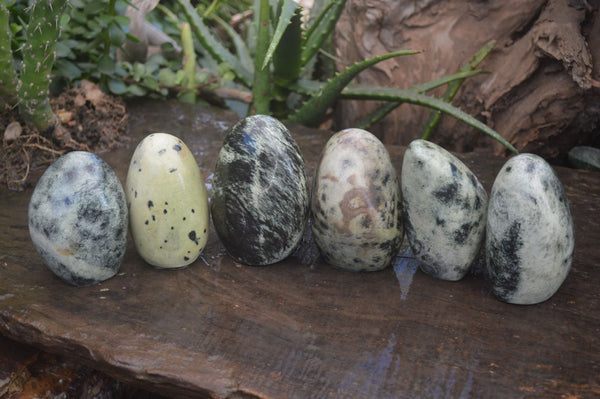 Polished Leopard Stone Standing Free Forms  x 6 From Zimbabwe - Toprock Gemstones and Minerals 