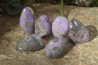 Polished Stichtite & Serpentine Standing Free Forms x 6 From Barberton, South Africa - Toprock Gemstones and Minerals 