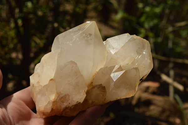 Natural White Quartz Clusters With Large Intact Crystals  x 2 From Mandrosonoro, Madagascar - TopRock