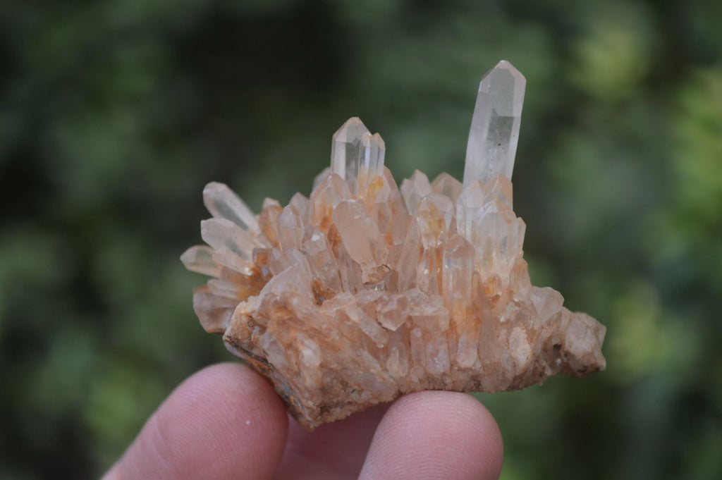 Natural Small Clear Quartz Crystal Specimens  x 35 From Madagascar - Toprock Gemstones and Minerals 