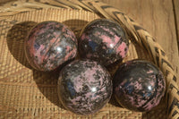 Polished Rhodonite Spheres x 4 From Madagascar - Toprock Gemstones and Minerals 