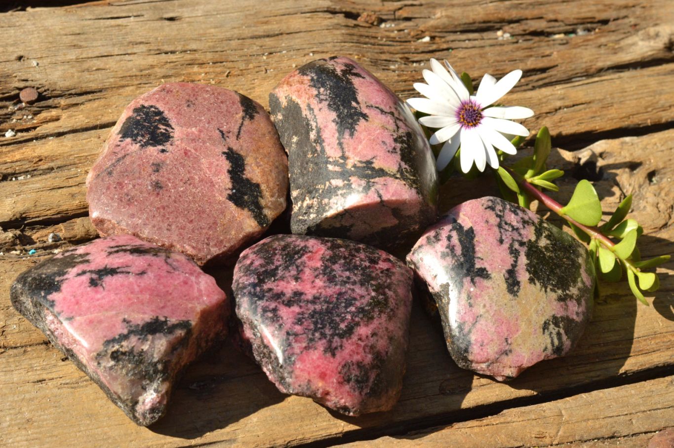 Polished Semi Polished Pink & Black Rhodonite Free Forms  x 5 From Ambindavato, Madagascar - TopRock