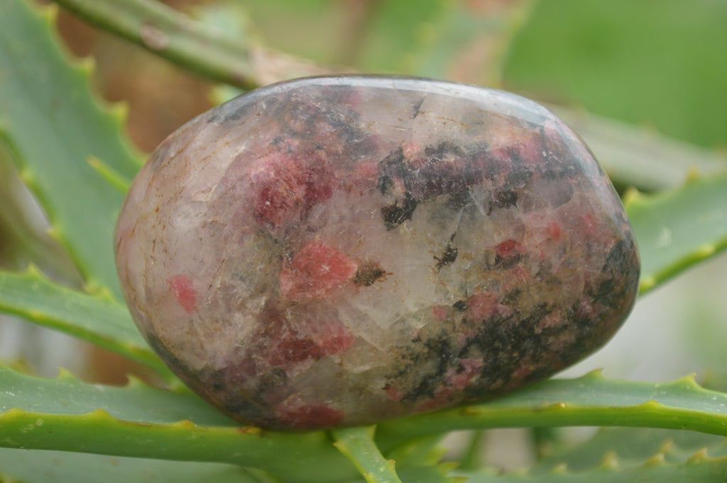 Polished Rare Red Rhodonite Free Forms  x 6 From Zimbabwe - TopRock