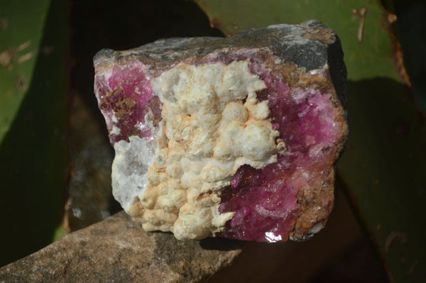 Natural Salrose Cobaltion Dolomite Specimens x 12 From Kakanda, Congo - Toprock Gemstones and Minerals 