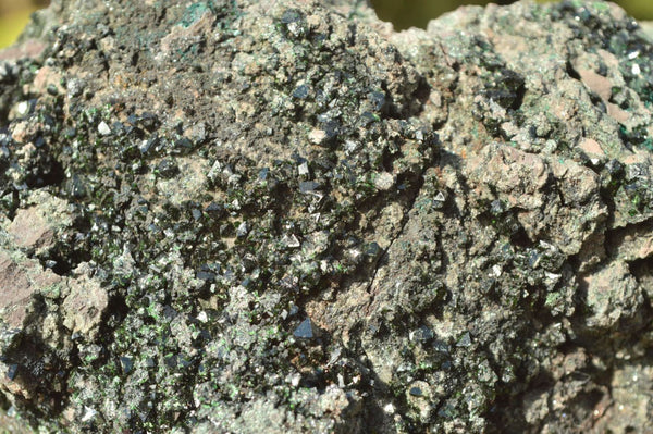 Natural XL Rare Copper Phosphate Libethenite On Dolomite Clusters x 1 From Shituru, Congo - TopRock
