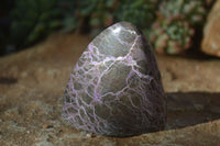 Polished Stichtite & Serpentine Standing Free Forms x 6 From Barberton, South Africa - Toprock Gemstones and Minerals 