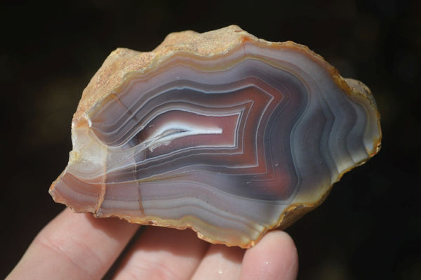 Polished Banded River Agate Nodules  x 6 From Sashe River, Zimbabwe - Toprock Gemstones and Minerals 