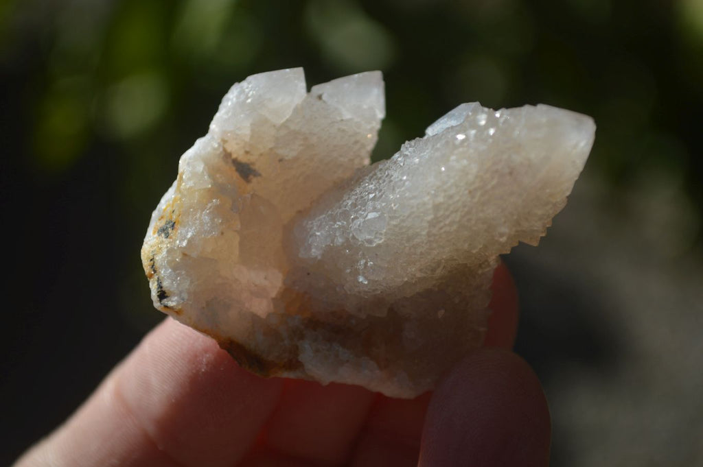 Natural White Spirit Cactus Flower Quartz Crystals x 70 From Boekenhouthoek, South Africa - Toprock Gemstones and Minerals 