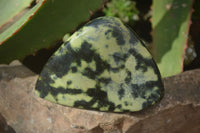 Polished Mixed Selection Of Retail Items x 5 From Southern Africa - Toprock Gemstones and Minerals 